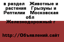  в раздел : Животные и растения » Грызуны и Рептилии . Московская обл.,Железнодорожный г.